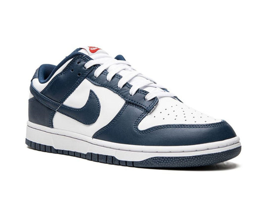 נייקי דאנק - כחול\לבן