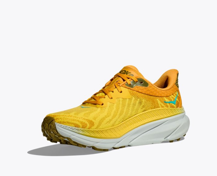 HOKA challenger 7 | נעלי הוקה צ'אלנג'ר #4